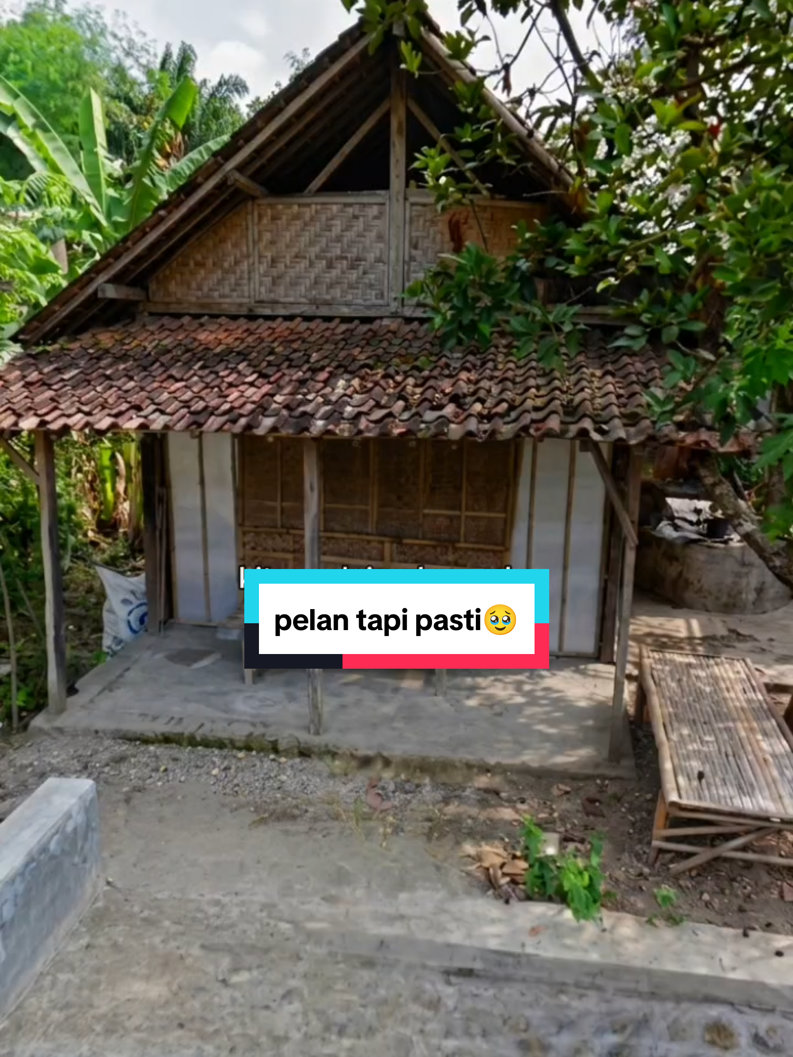 @Ayam Lodho Bu Sri