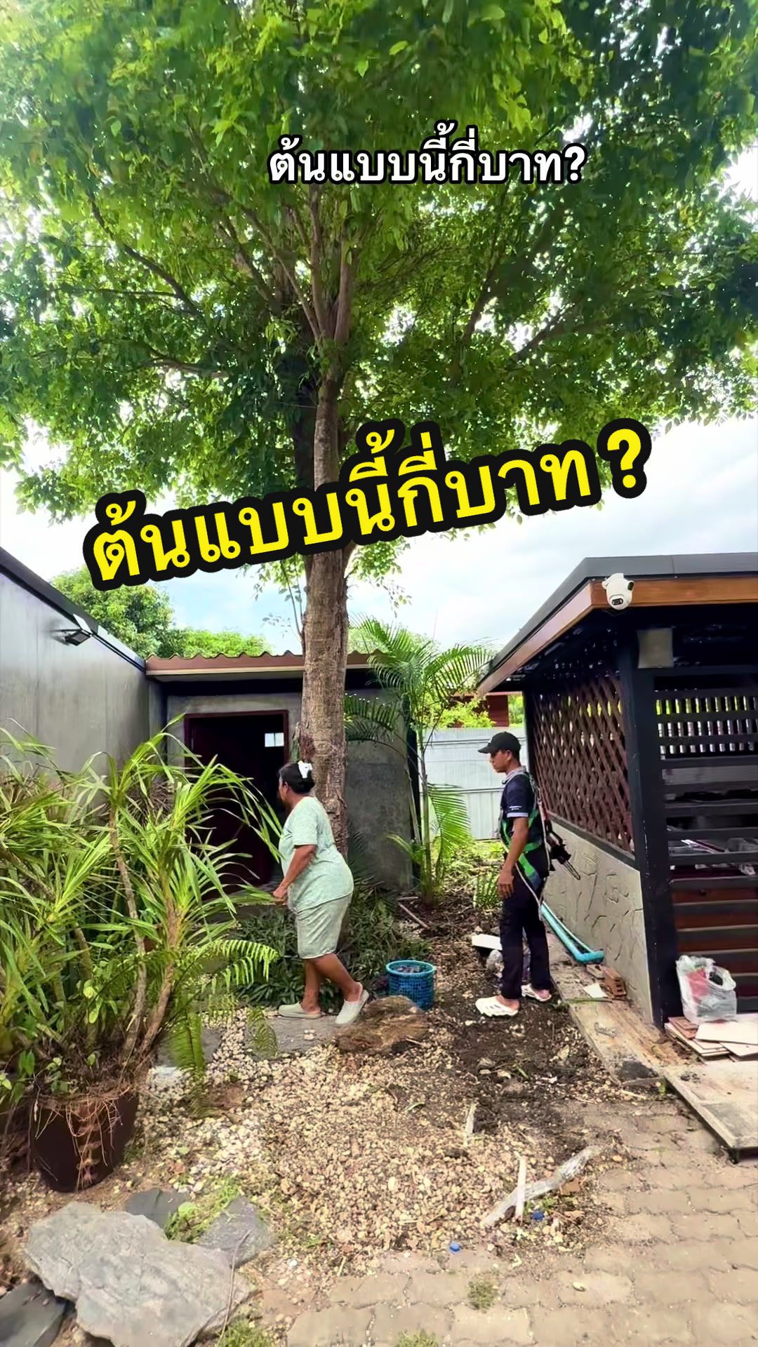 @อ้น บ้านทองกวาว