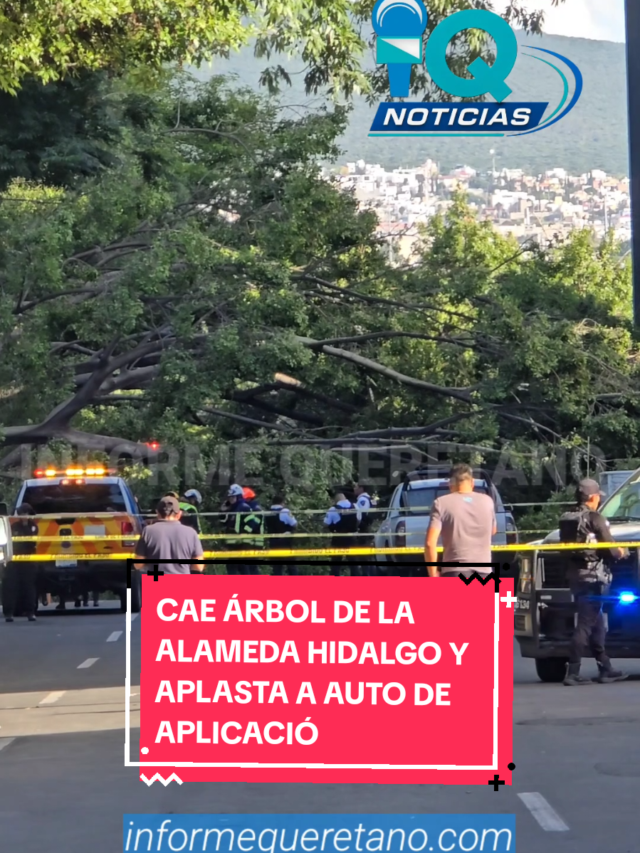 @informequeretano