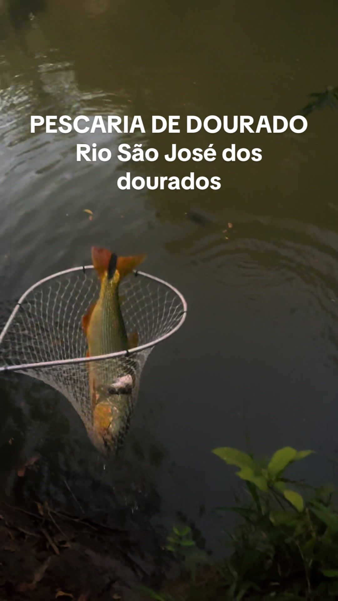 @Gabriel na pesca 🎣
