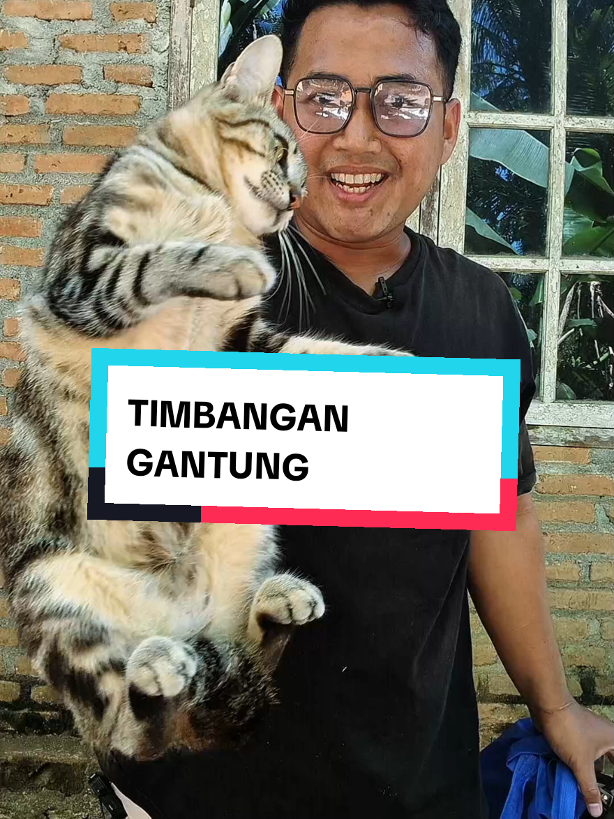 @Review Murah