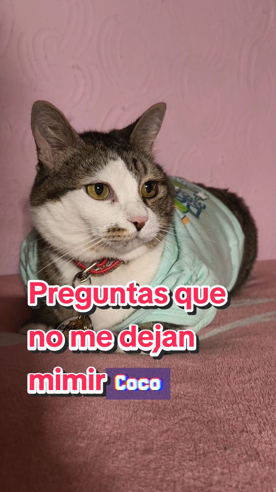 @Rayito, Jake, Ivar & Cristal