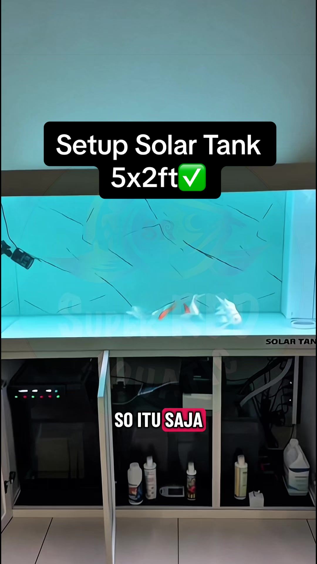 @SuperRedAquaticMelaka