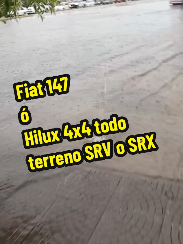 @SiRENALiS