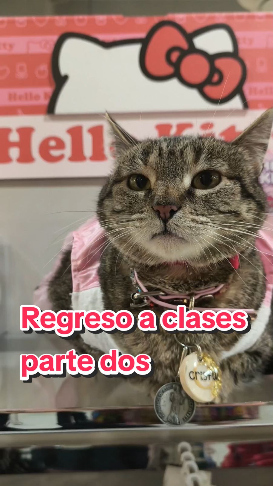 @Rayito, Jake, Ivar & Cristal