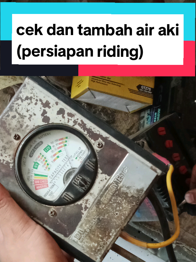 @tukik 🐢
