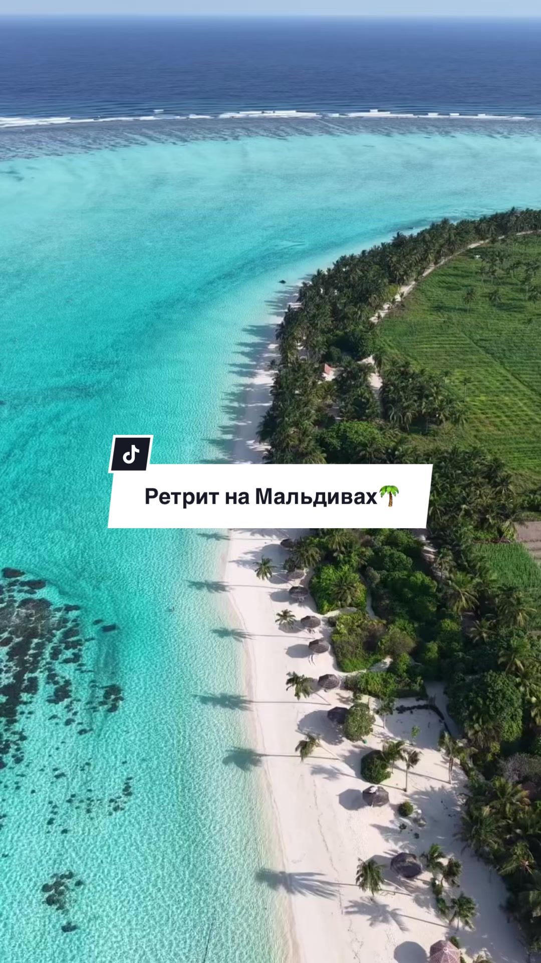 @Астролог Вонберг Галина