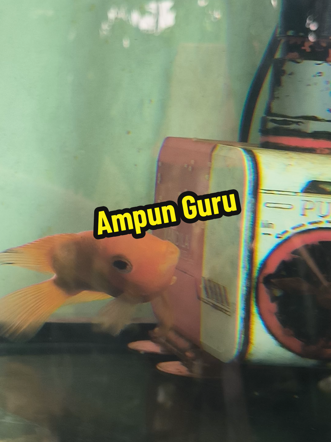 @Punya Namita