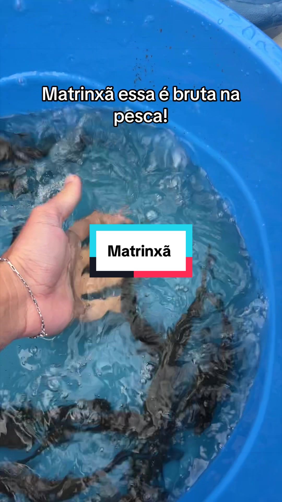@Walter Fish
