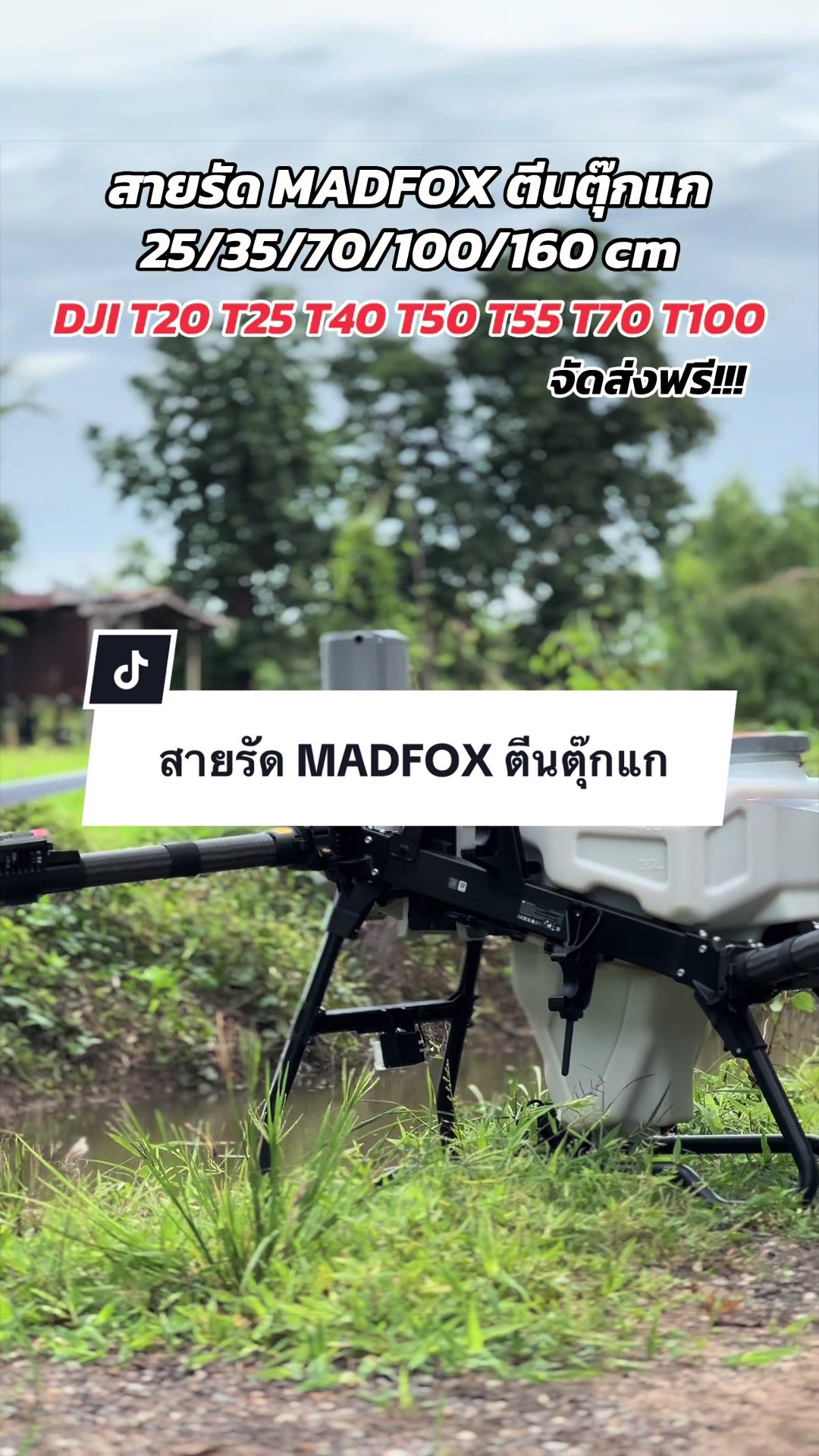 @อาเฮียหลี อาหลีเฮีย