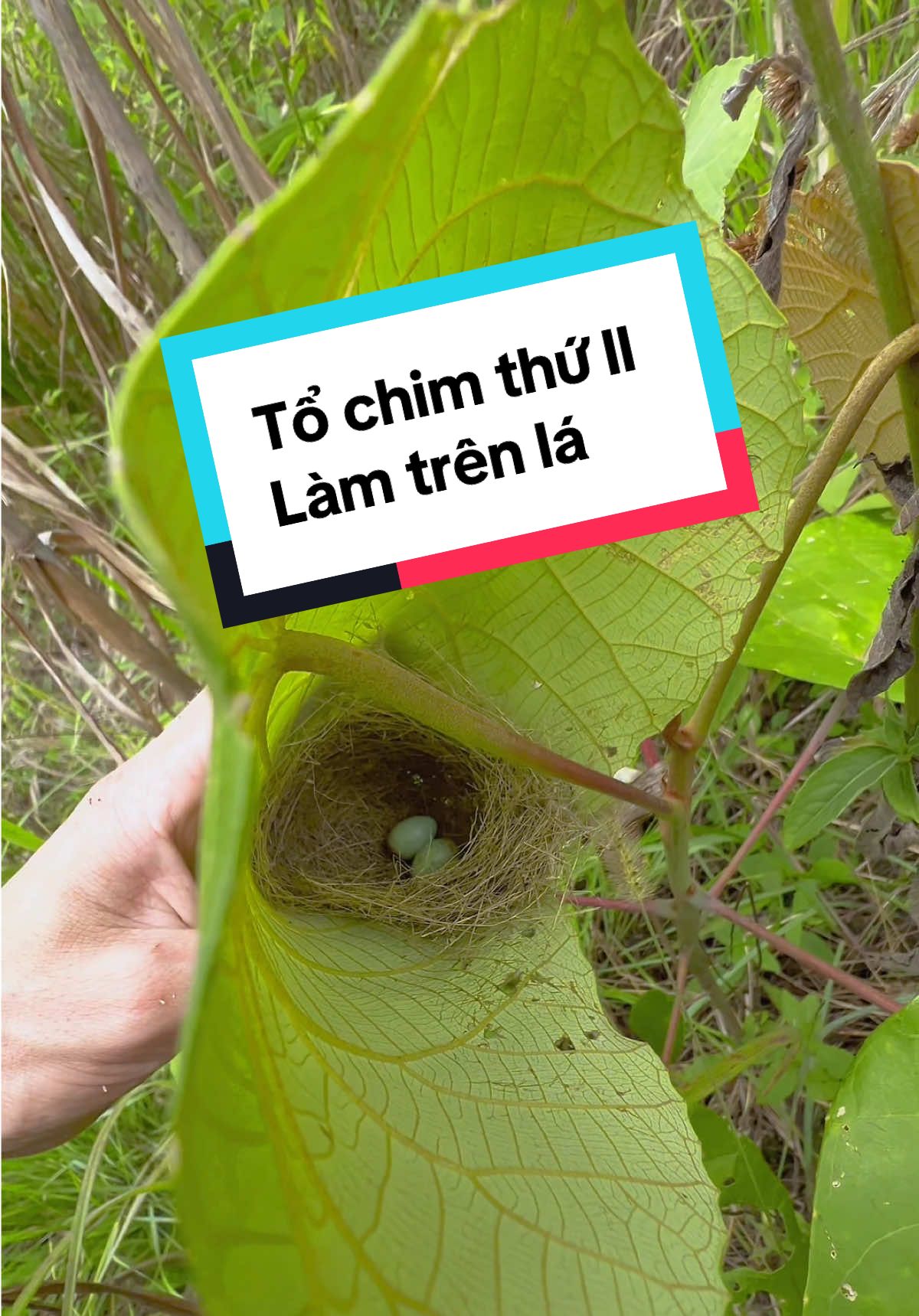 @C&C Miền N&uacute;i ⛰️