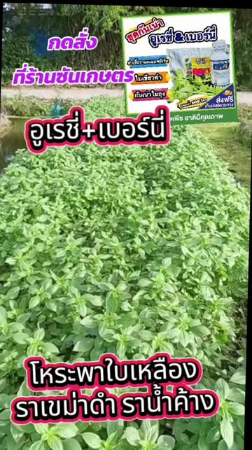 @ร้านซันเกษตร