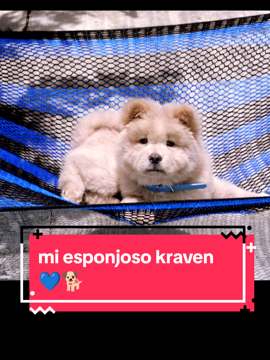 @Lizzi VzM🦋