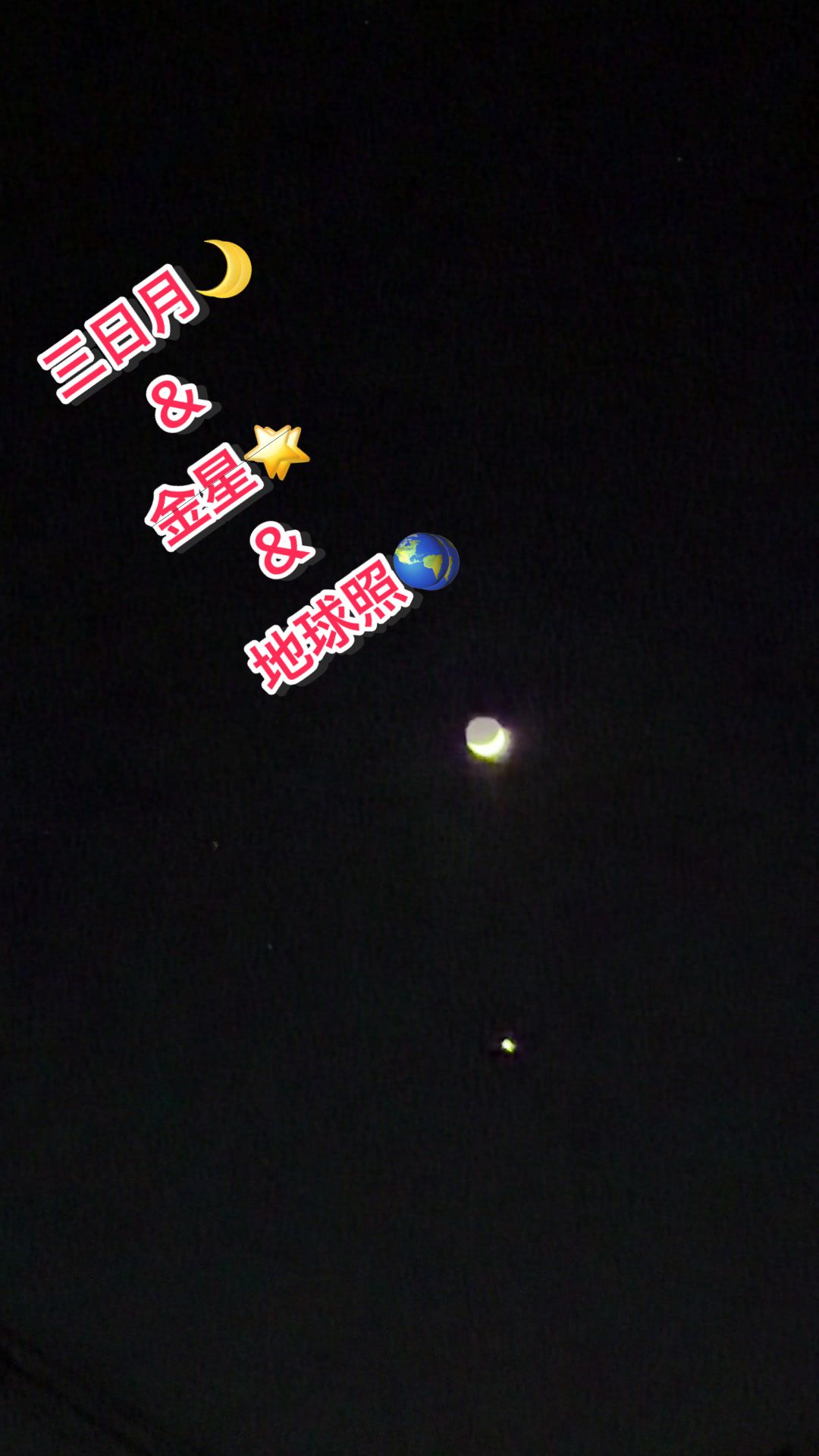 @✌︎·͜·(PᗜN)·͜· ︎︎ᰔᩚ