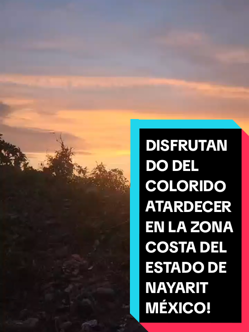 @Eliseo López