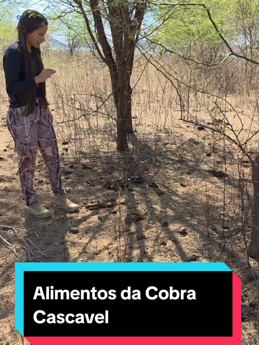 @Princesa das Serpentes