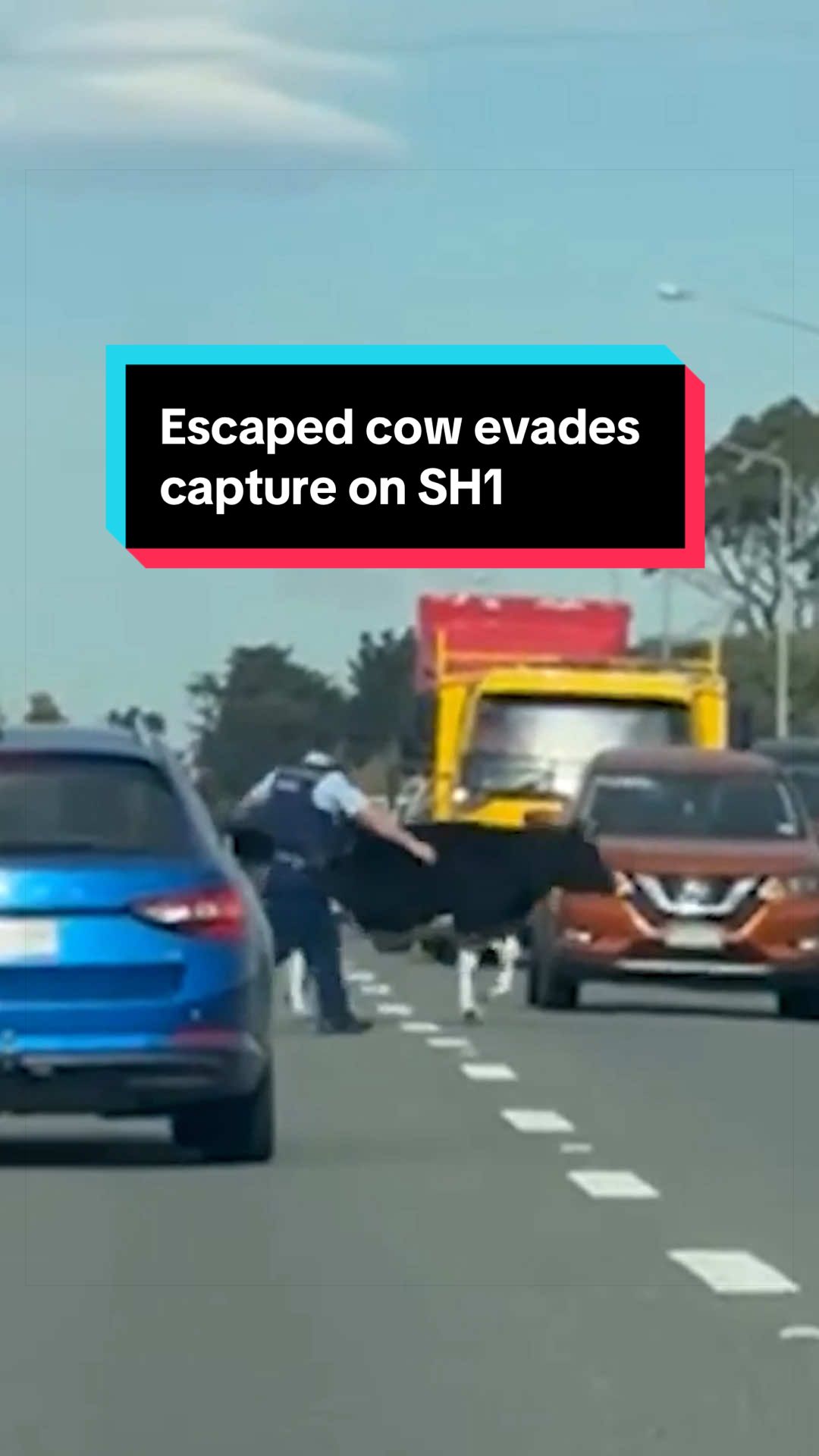 @NZstuff