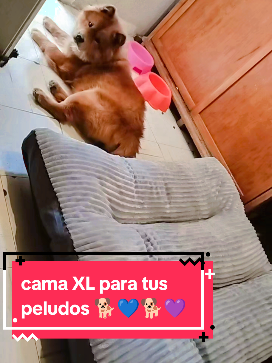 @Lizzi VzM🦋