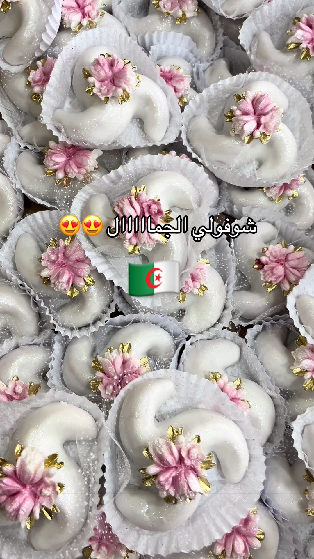 @lak_hafsa