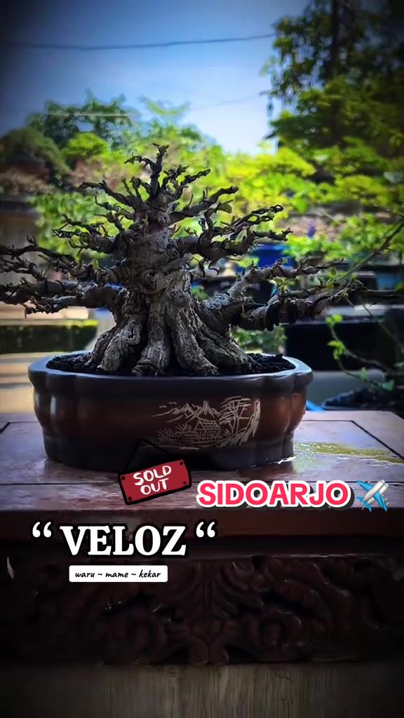 @warbonsai_purwodadi