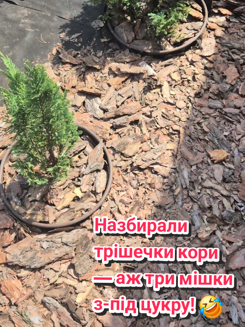 @Анна Амеліна