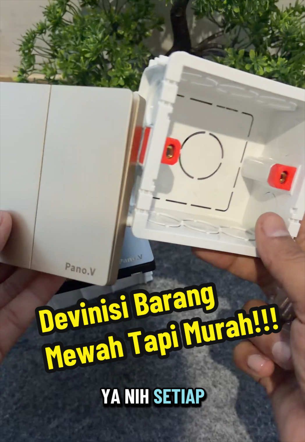 @AdaAjahaha