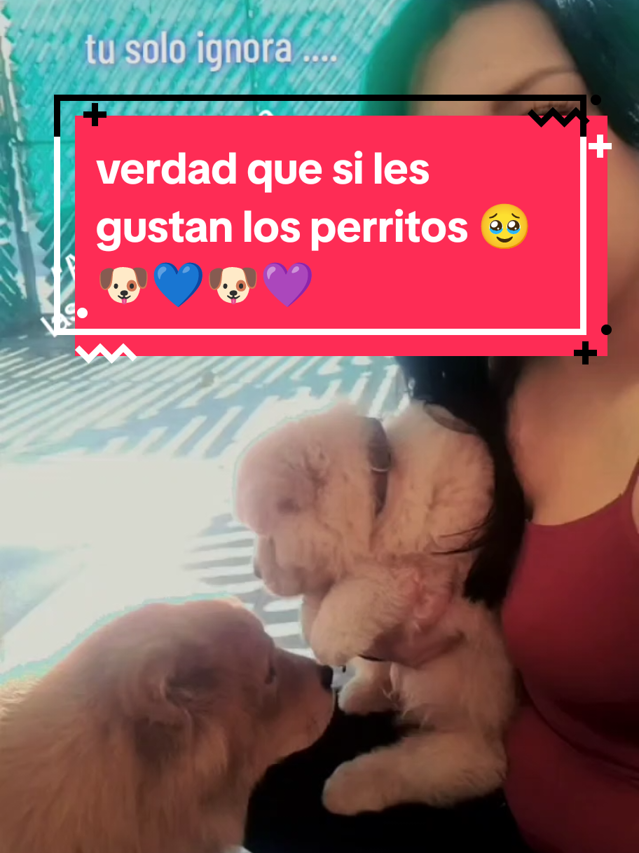 @Lizzi VzM🦋