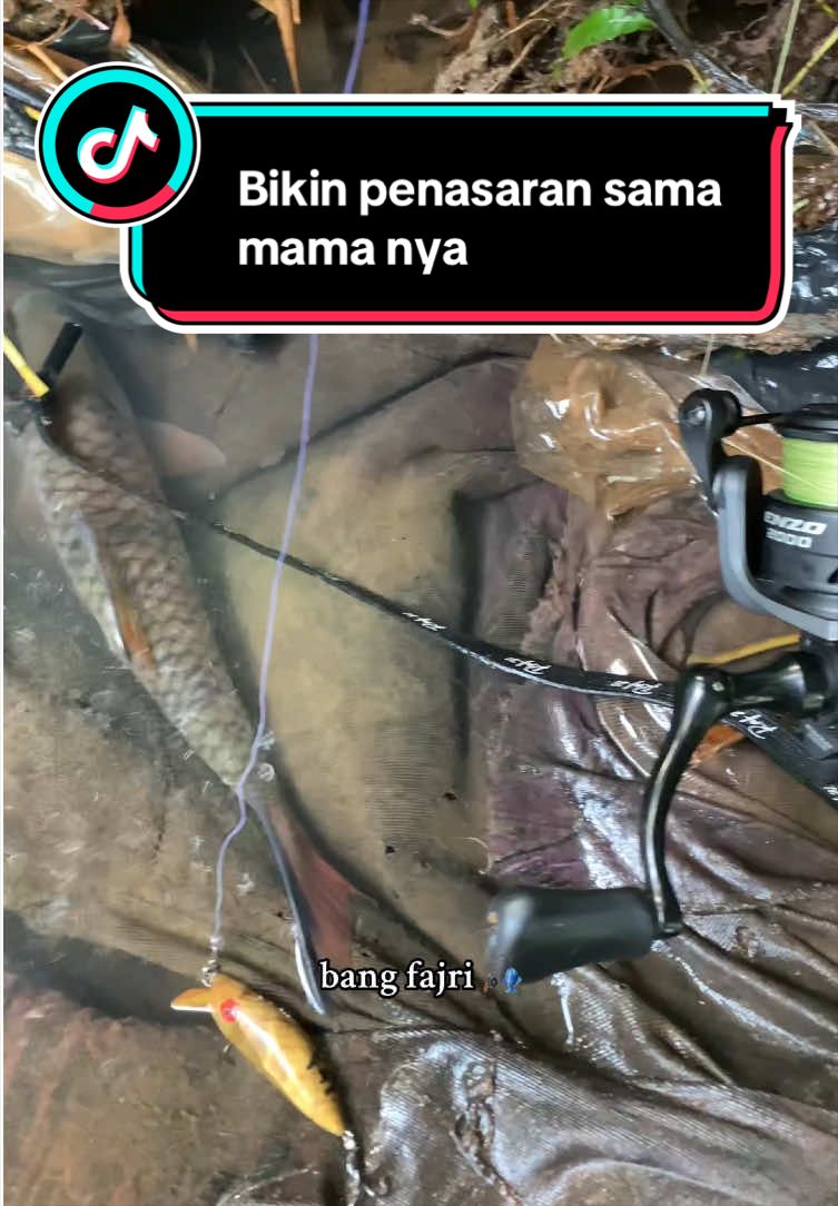 @Bang Fajri 🎣
