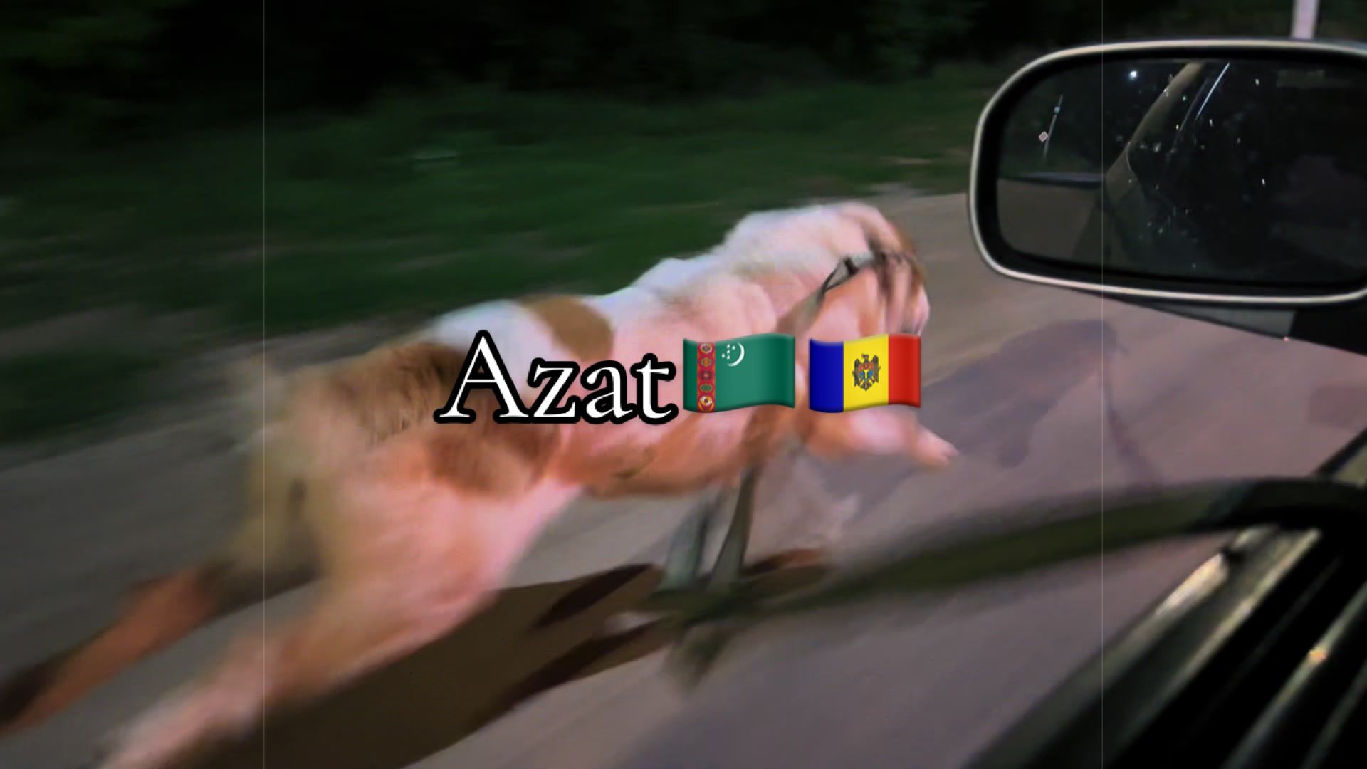 @BucaTurkmenMDvolkodav