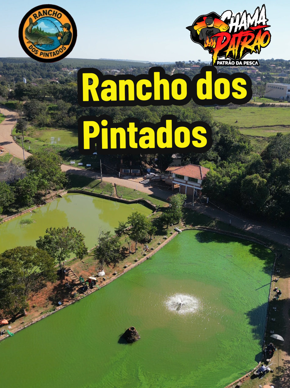 @Patr&atilde;o da Pesca