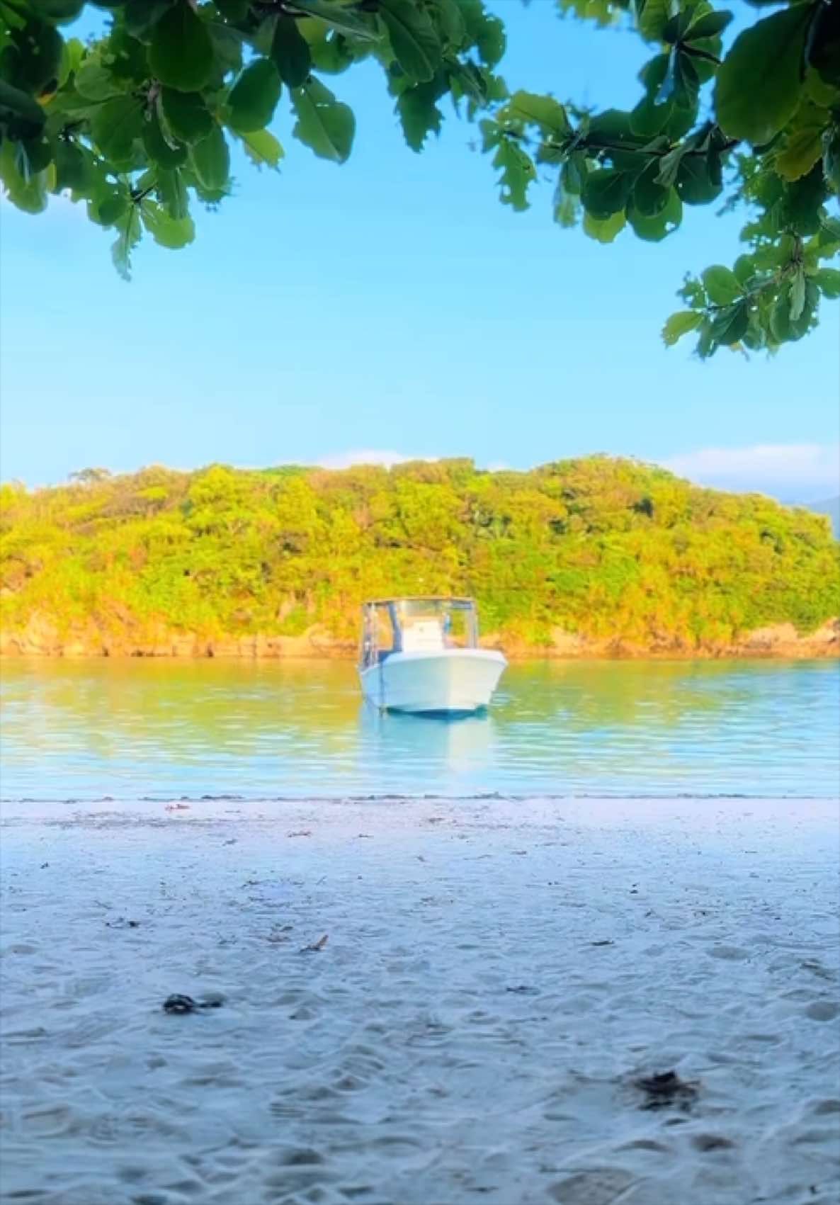@Fumi【旅と絶景の記録】