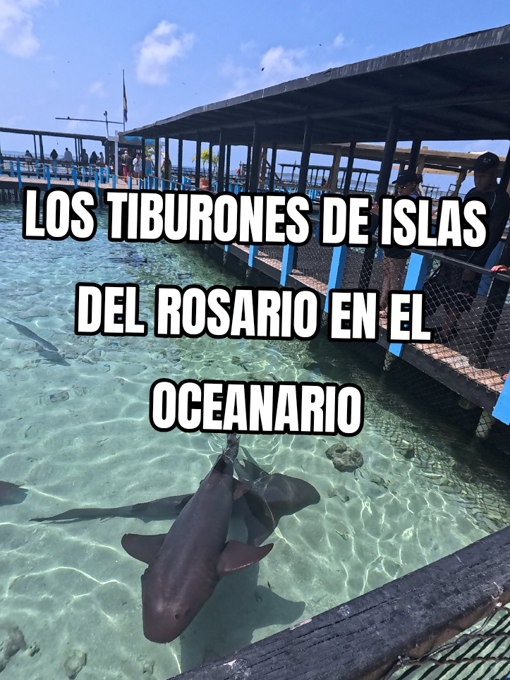 @Julio Chavarr&iacute;a