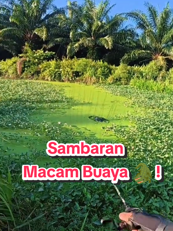 @Paan Pacak