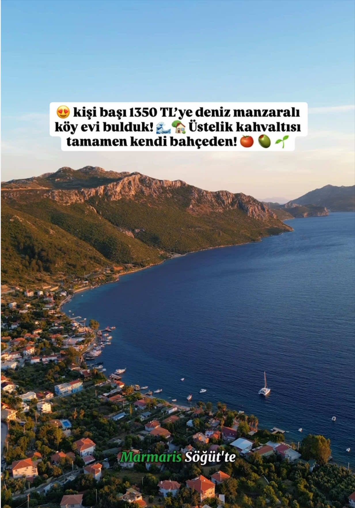 @Abdullah Şahin
