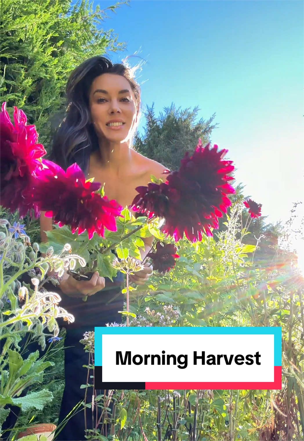 @Ava Dahlia 🇨🇦👩&zwj;🌾✌️