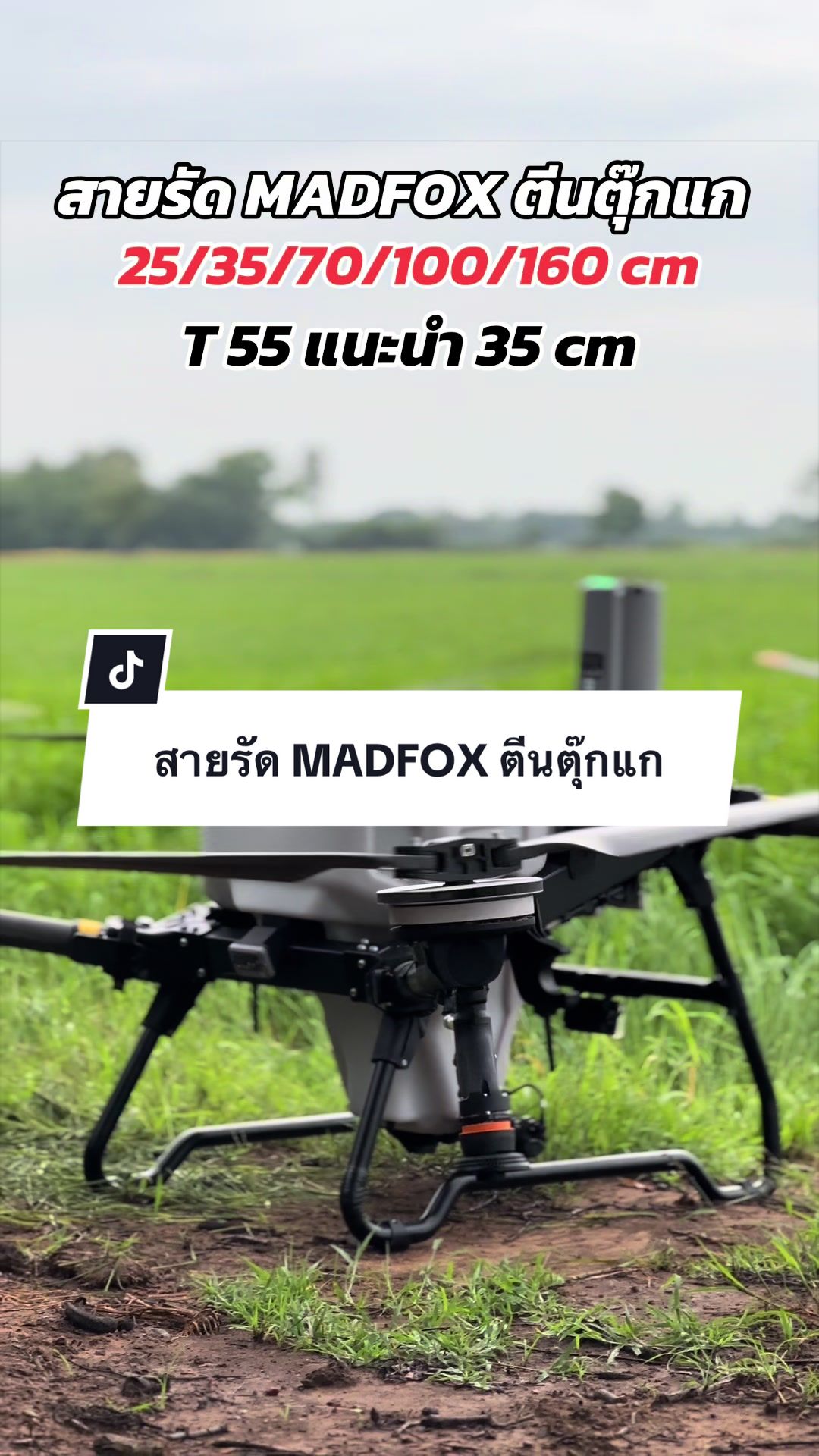 @อาเฮียหลี อาหลีเฮีย