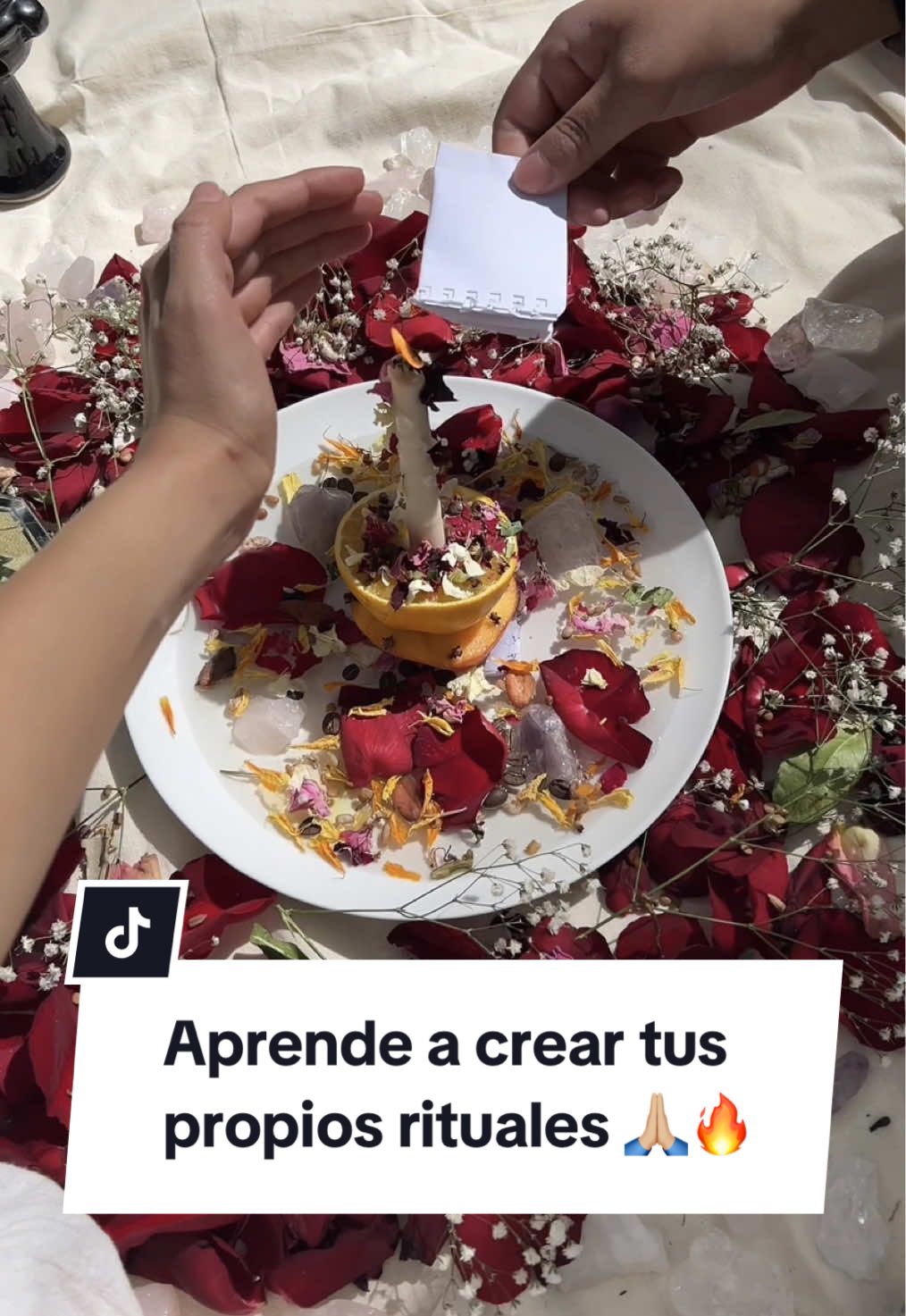 @querida_diosa