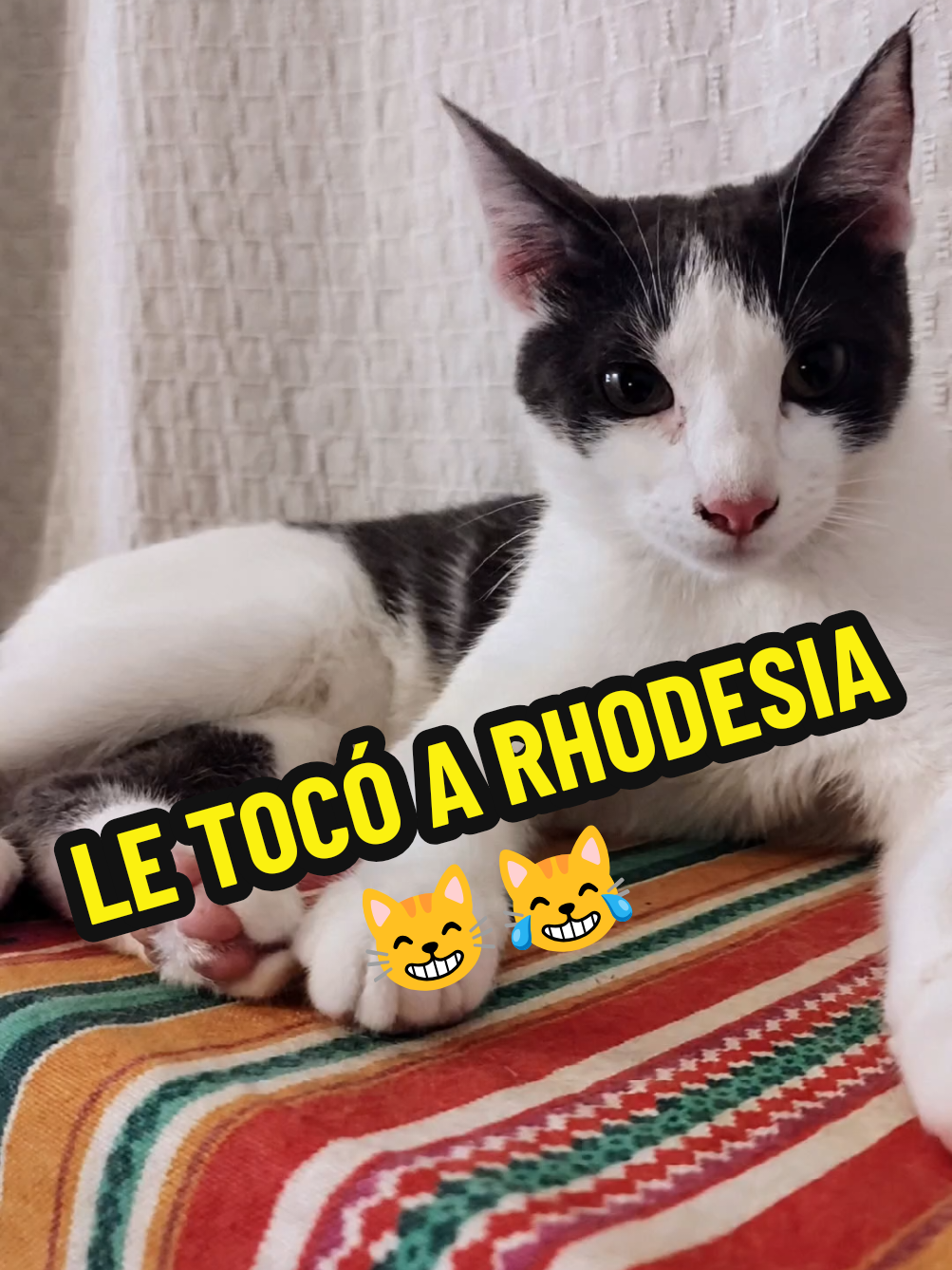 @TITA y RHODESIA