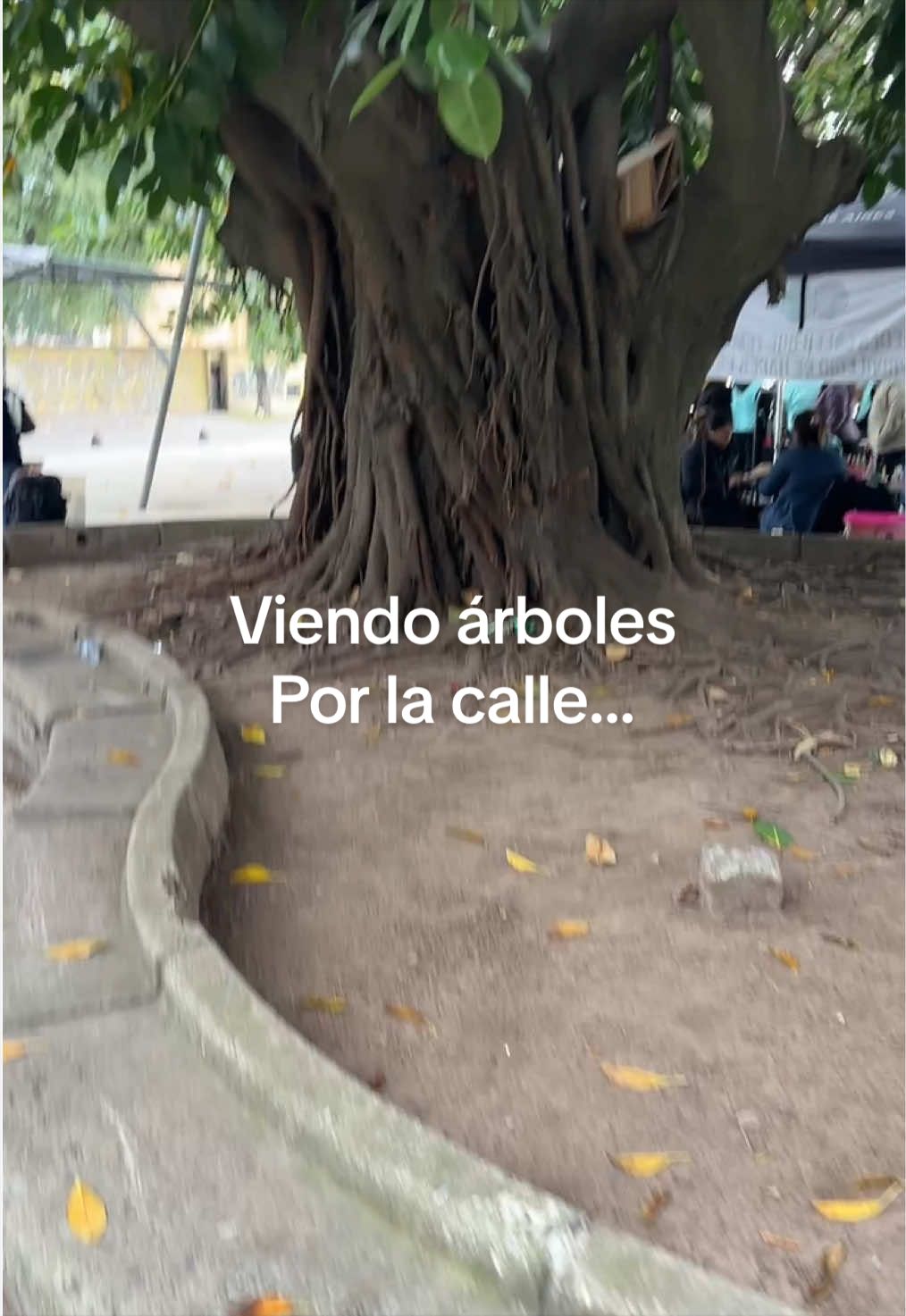 @cultivandoando