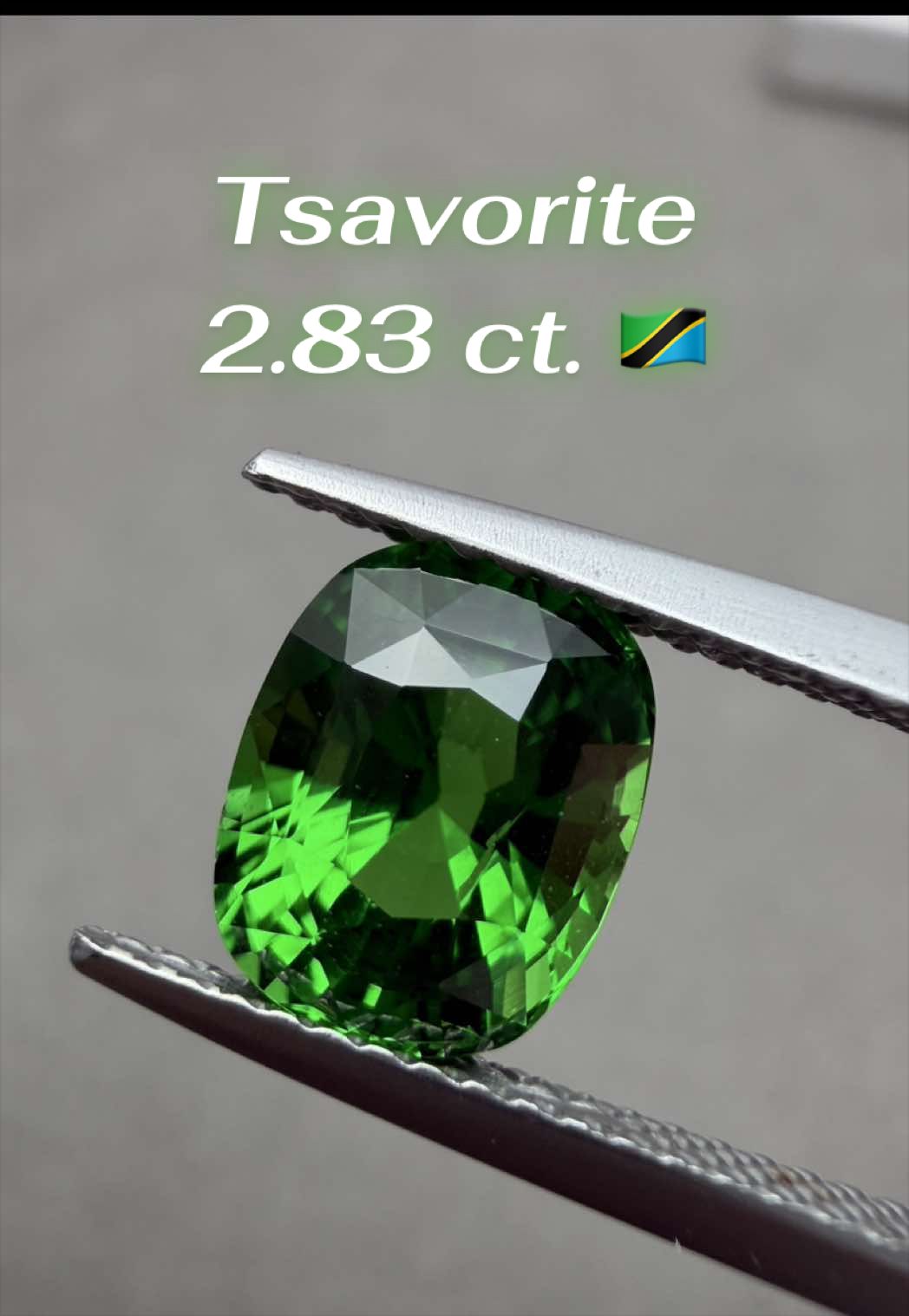 @Vorasia Gems