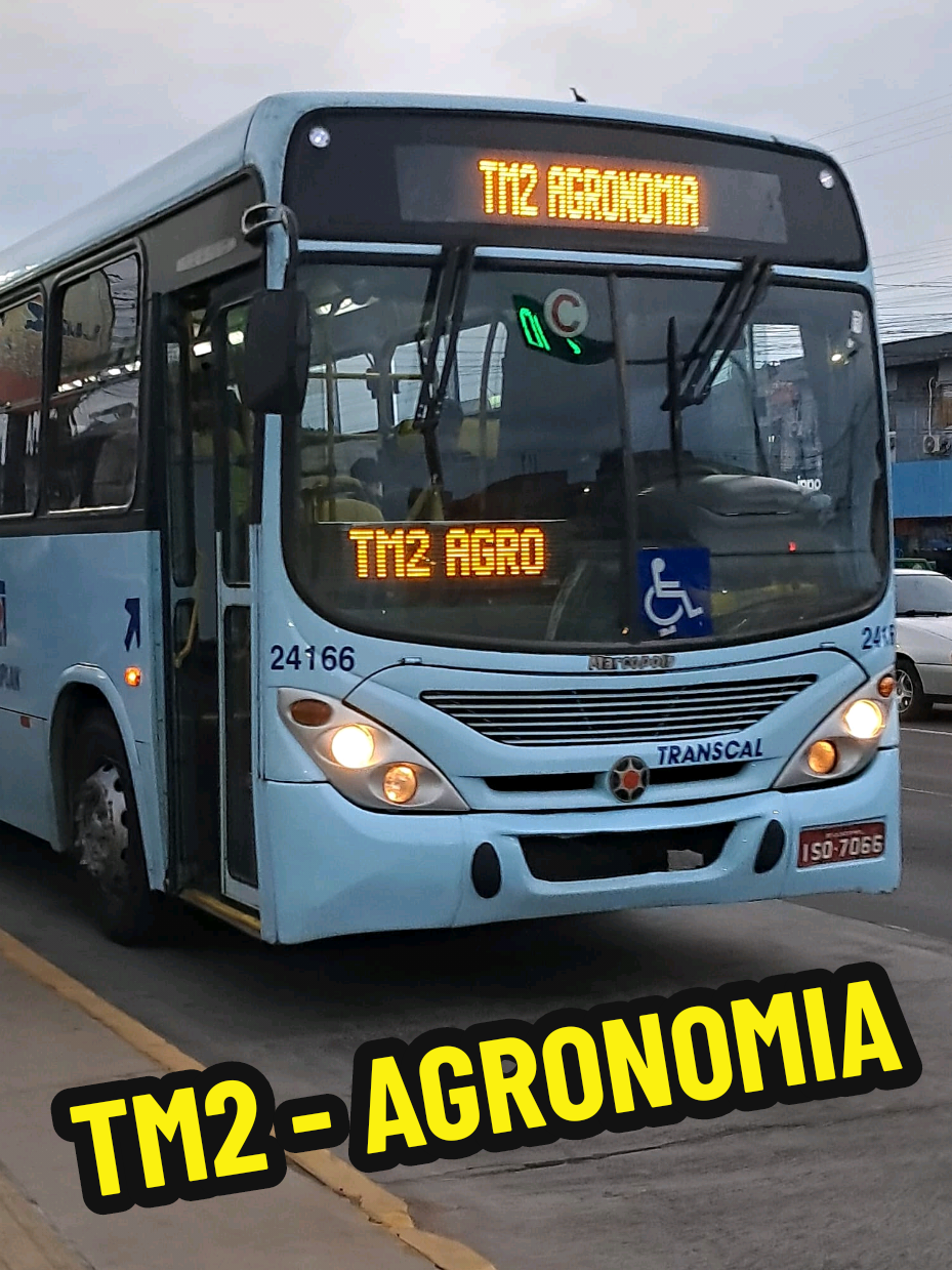 @Mem&oacute;ria da Busologia