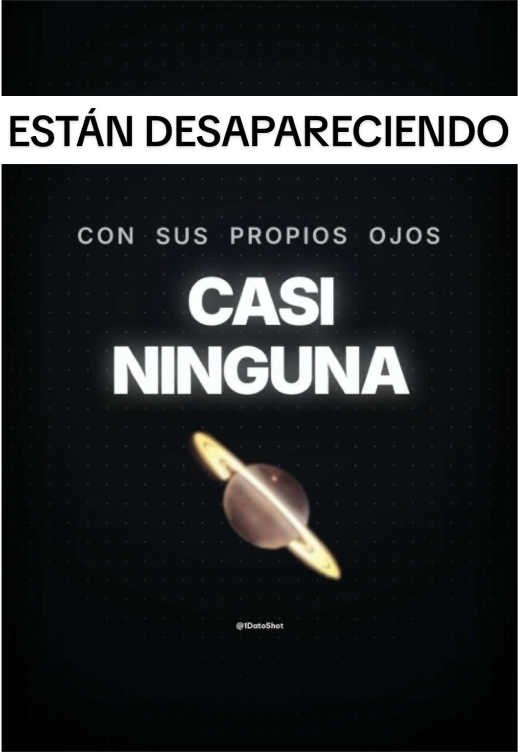 @1DatoShot
