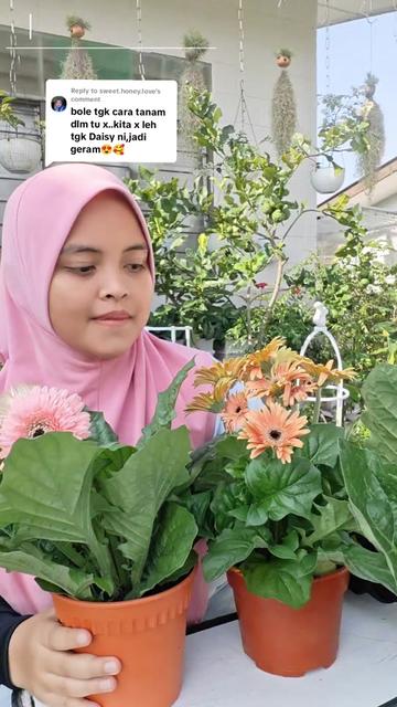 @Ira Zulkifli