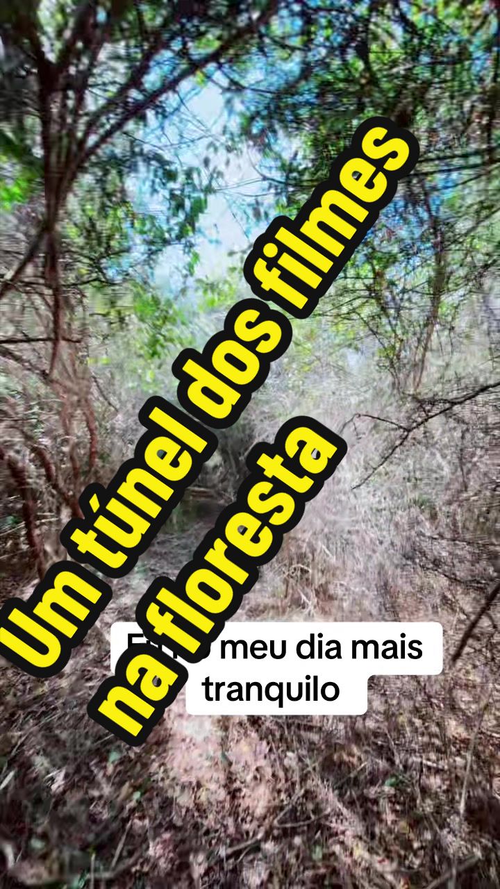 @Felicidade Gotine Firmino