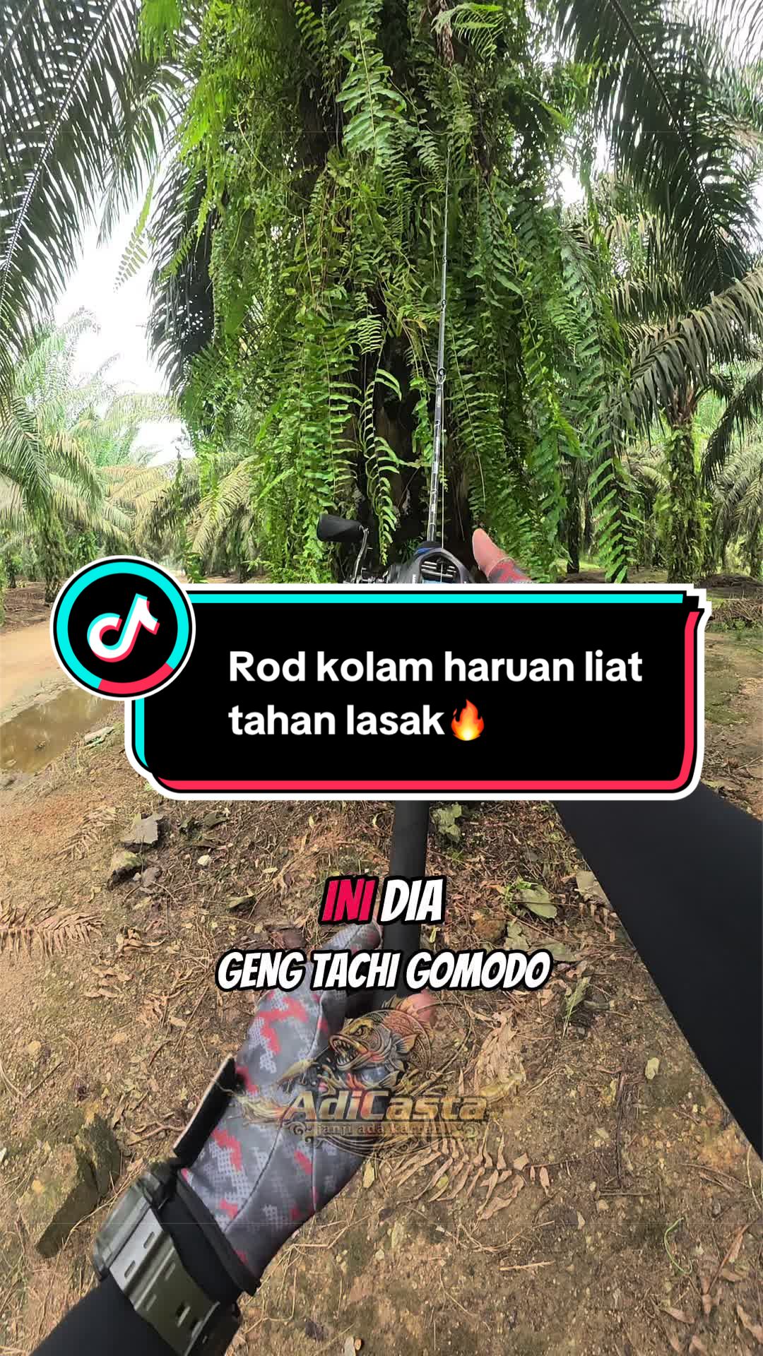 @AdiCasta..