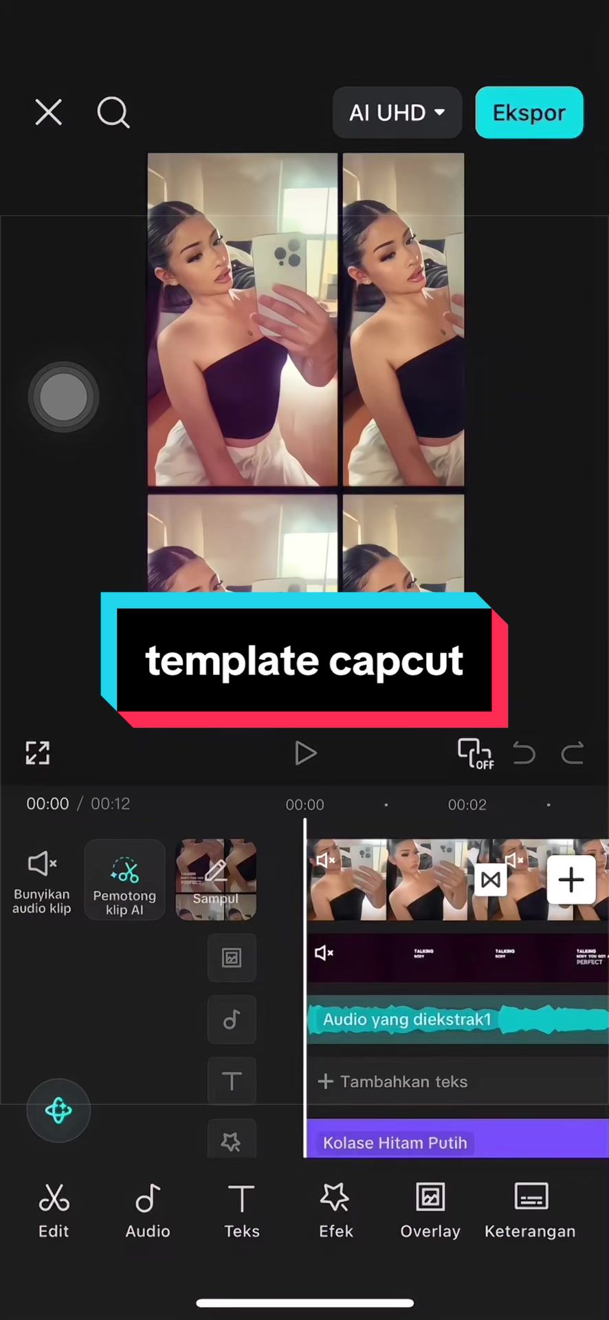 @Vanilla Capcut🎟