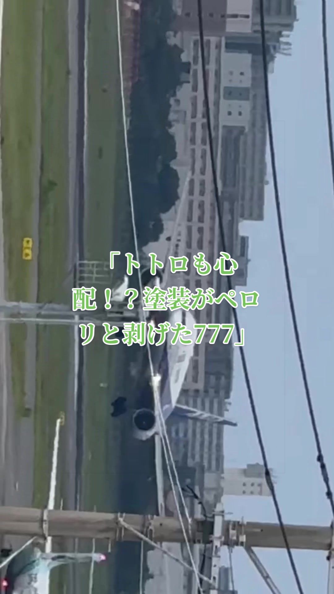 @✈️トト旦