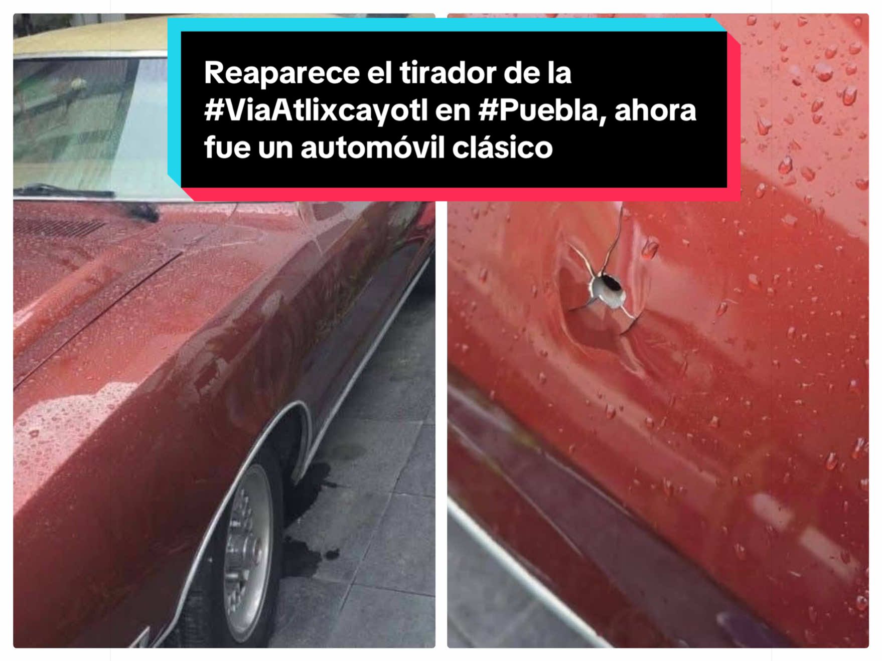 @Rocío Carbente (reportera🎤)