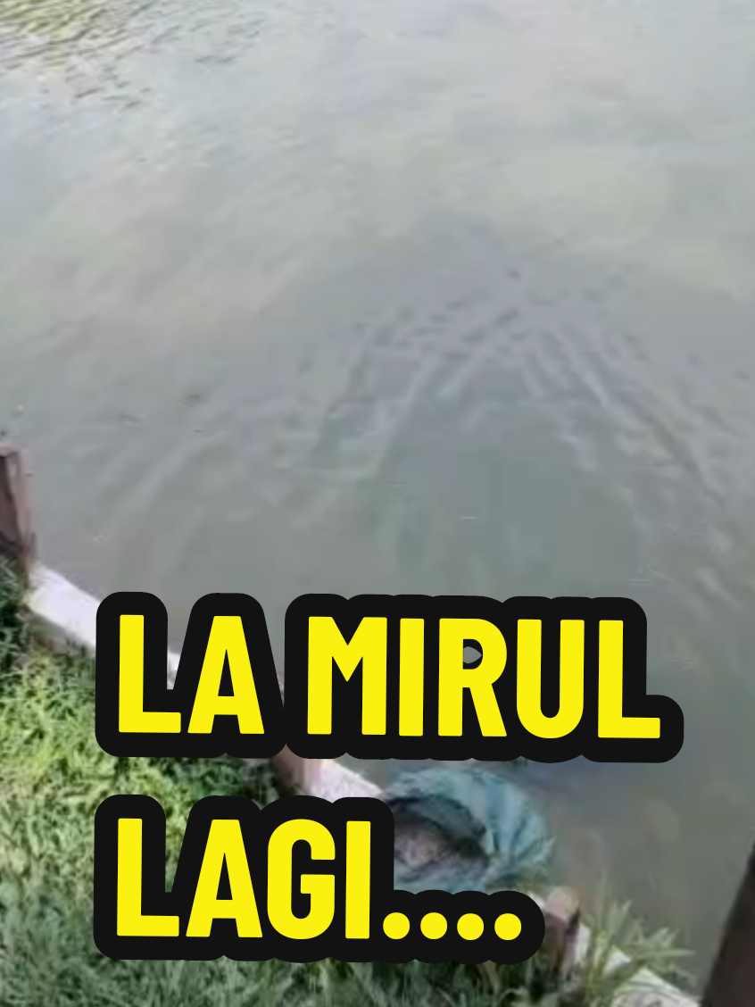 @SilatangBugis
