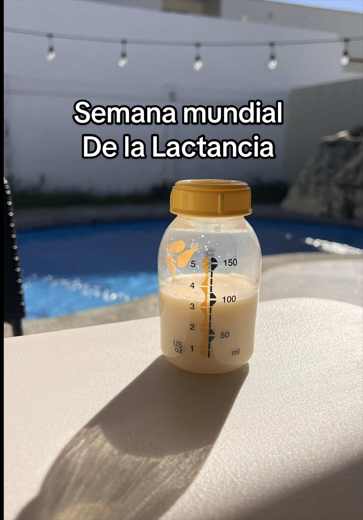 @Monica Barboza Chinchilla